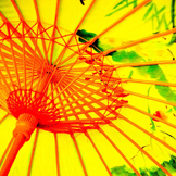 官方认证的ddos网页端